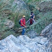 Bushy and spiky terrain in the river bed